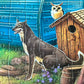 300 Pieces Jigsaw Puzzles For Adults - Puzzles For Kids Ages 6-8 8-10 10-12 - Large Piece Puzzles For Seniors - Woodland Caravan Camping