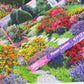 Springbok Flower Garden 500 Piece Puzzle For Adults - Featuring A Beautiful Garden In Bloom