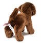 Douglas Chocolate Lab Plush Stuffed Animal, 12" Brown, Soft Plush, Model 1888