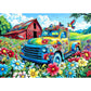 1000 Piece Puzzles For Adults Clearance, Graffiti Pickup Truck & Hummingbird Puzzle For Adults, Challenge Art Jigsaw Puzzle, For