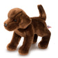 Douglas Chocolate Lab Plush Stuffed Animal, 12" Brown, Soft Plush, Model 1888