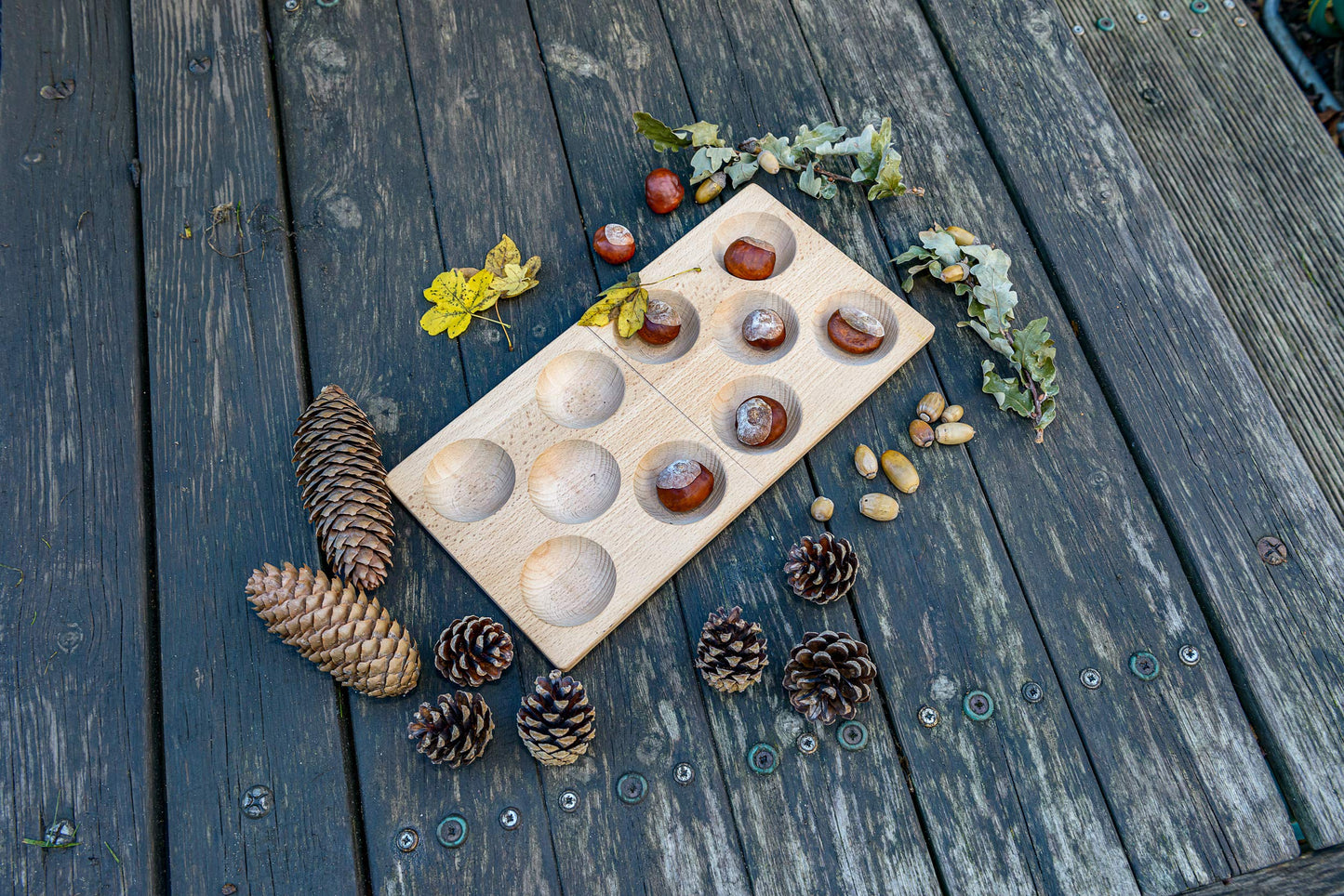 Domino 10-Frame Tray