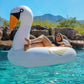 Gofloats Giant Inflatable Pool Floats - Choose Unicorn, Dragon, Flamingo, Swan, Or Bull - Includes Drink Float, White