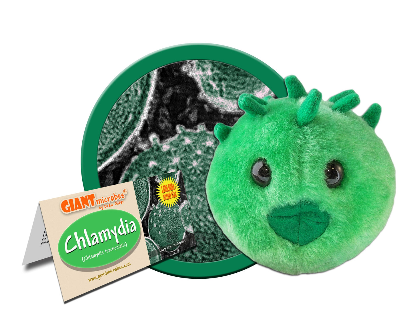 GIANTmicrobes Chlamydia Plush, STIs, STDs, Medical Gag Gifts Funny, OBGYN Gifts for Doctors, Infection Prevention Gifts, Infecti
