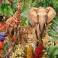 Springbok 500 Piece Jungle Animal Puzzle - Colorful Safari Collage for Adults & Families, Cardboard, Multicolor