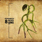 The Noble Collection Bendable Bowtruckle Pickett - 7 Inch Multicolor Plastic Model NN5006