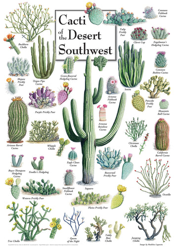 Masterpieces 1000 Piece Jigsaw Puzzle For Adults, Family, Or Youth - Cacti Of The Desert Southwest - 19.25'X26.75'