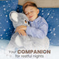 Huggle Healers Koala Weighted Stuffed Animal - 40" Plush, 4.5lb, Grey - Ideal for Adults, Teens & Kids