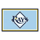 FANMATS Tampa Bay Rays 4x6 ft Rug - 7087