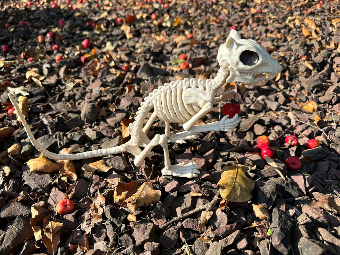 Crazy Bonez Skeleton Squirrel - Plastic Decoration - Bone Color - Model W81310