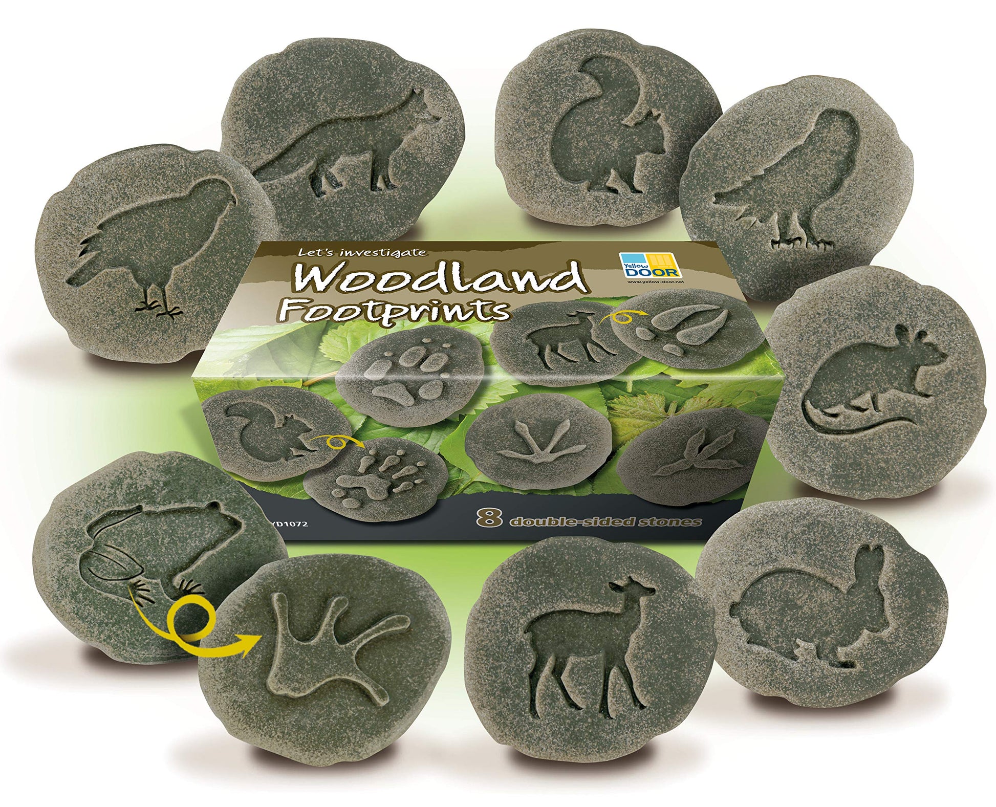 LETS INVESTIGATE WOODLAND FOOTPRINT