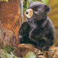 Folkmanis Baby Black Bear Hand Puppet, 1 Ea