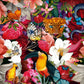 Ravensburger 300 Piece Jigsaw Puzzle - Tropical Flowers, Softclick Technology, 15.4 x 10.7 inches, Multicolor, Model 13309
