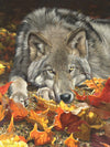 Ceaco 500-Piece Jigsaw Puzzle - Wolf's Contemplation, Multicolor, 24 x 18, Cardboard, Model 2415-24