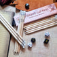 Power Beast Dungeon 12 Character Class Pencils for Dungeons and Dragons, D&D, Dungeon Master Gift, DND, D&D 5e, Pathfinder, Role