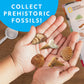Blue Marble NATIONAL GEOGRAPHIC Rock Collection Box – 300 Piece Gemstones, Crystals, Geodes, Fossils, Science Kit for Kids, Multi Color