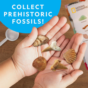 National Geographic Rock Collection Box For Kids - 300 Piece Gemstones And Crystals Set Includes Geodes And Real Fossils, Rocks