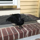 Worth Imports 10'' Feathered Crow, Black