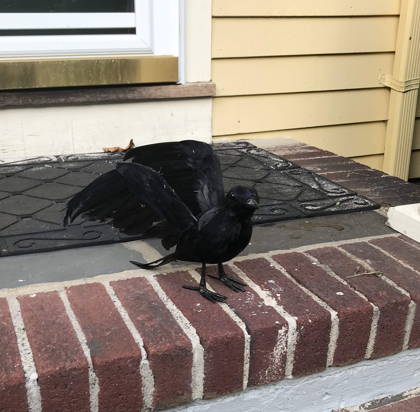 Worth Imports 10'' Feathered Crow, Black