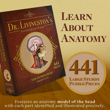 Genius Games Human Head Anatomy Puzzle - Adult Jigsaw Puzzles Unique Gifts For Kids Educational Science - 441 Piece Teen Floor Puzzle - Genius Games Dr. Livingston