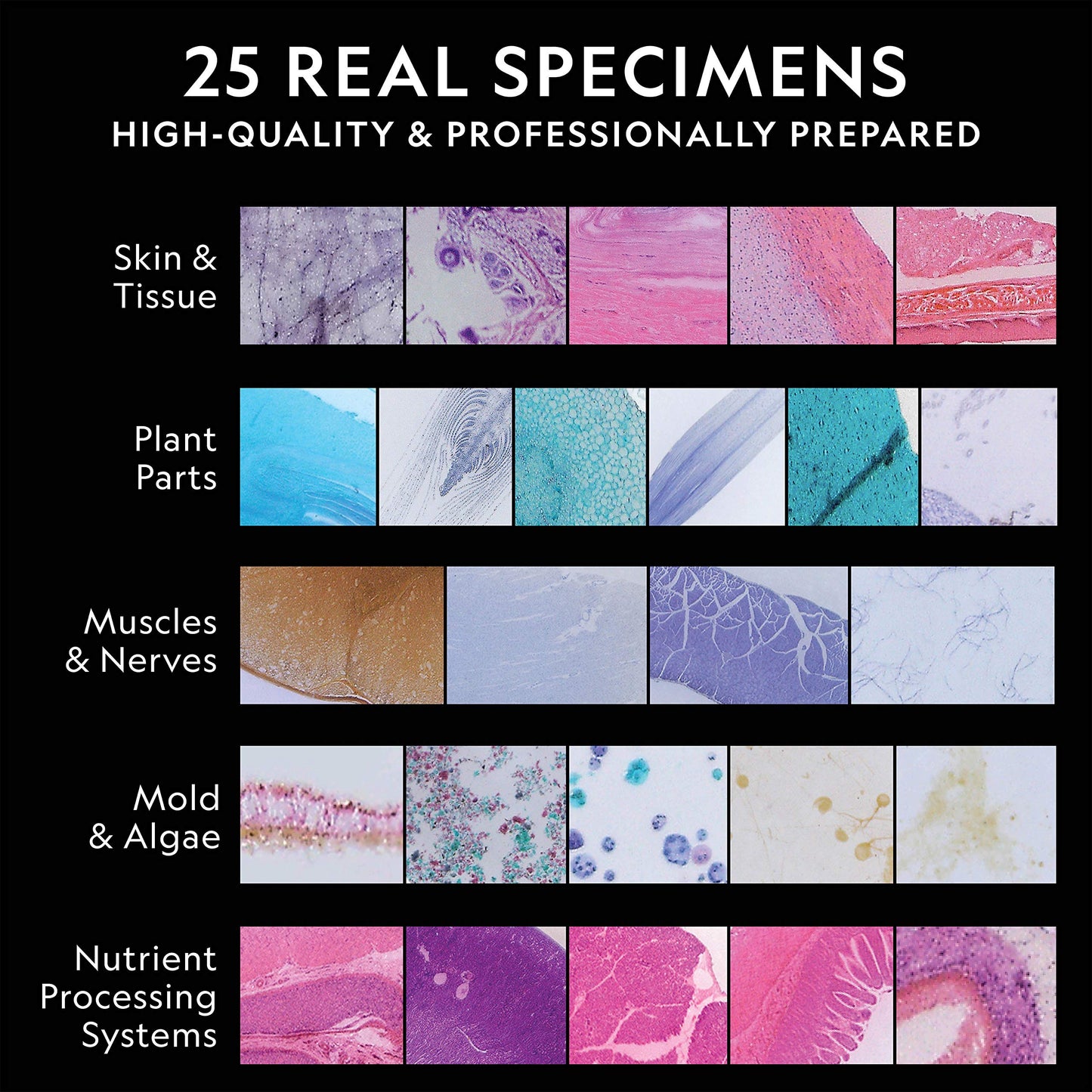 National Geographic Mega Biology Set - Professional Grade Specimens, 25 Prepared Microscope Slides, Detailed Learning Guide And
