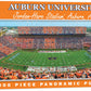 Auburn Panoramic 1000 Pc