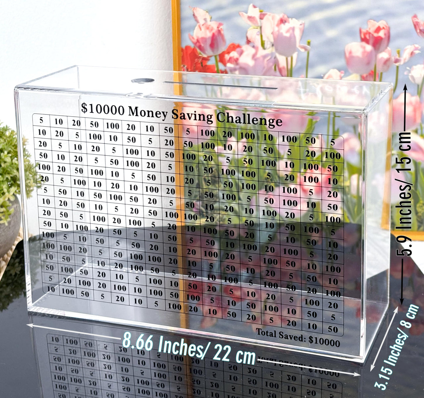 LingLingo 10K Smash Box, Clear Acrylic Unbreakable Piggy Bank for Adults, Money Saving Challenge Box for Cash Coin, Must Break t