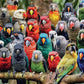 Cross & Glory 1000 Piece Jigsaw Puzzle - Kaleidoscope of Feathers, Large Size, Durable Cardboard, Unique Bird Artwork