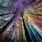 Hard Impossible Puzzles for mature-themeds 1000 Piece  Challenging Difficult Puzzles for mature-themeds  Colorful Gradient Jigsaw Puzzle for mature-themed