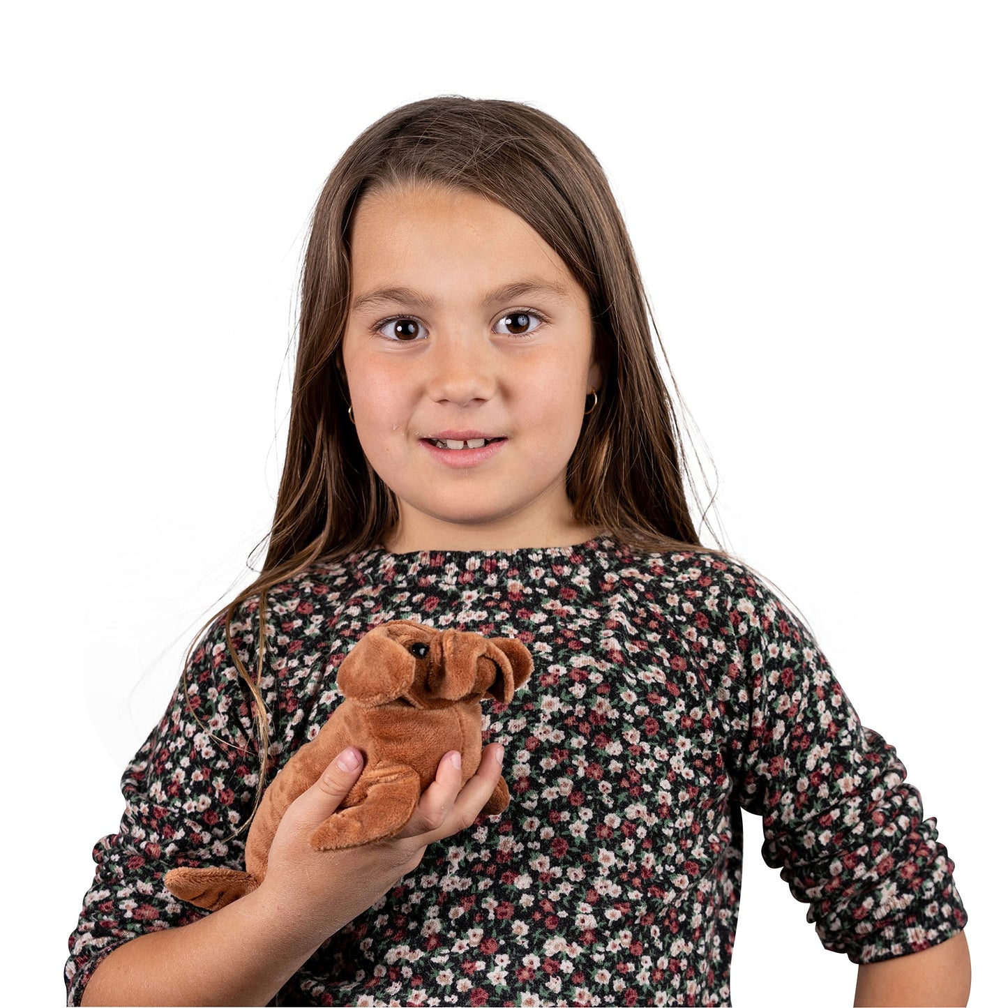 Randimals Randimini Collection Seadog - Sea Lion And Mastiff Plush Bean Filled Toy 6.5   , Soft & Huggable, Premium Quality Hybr