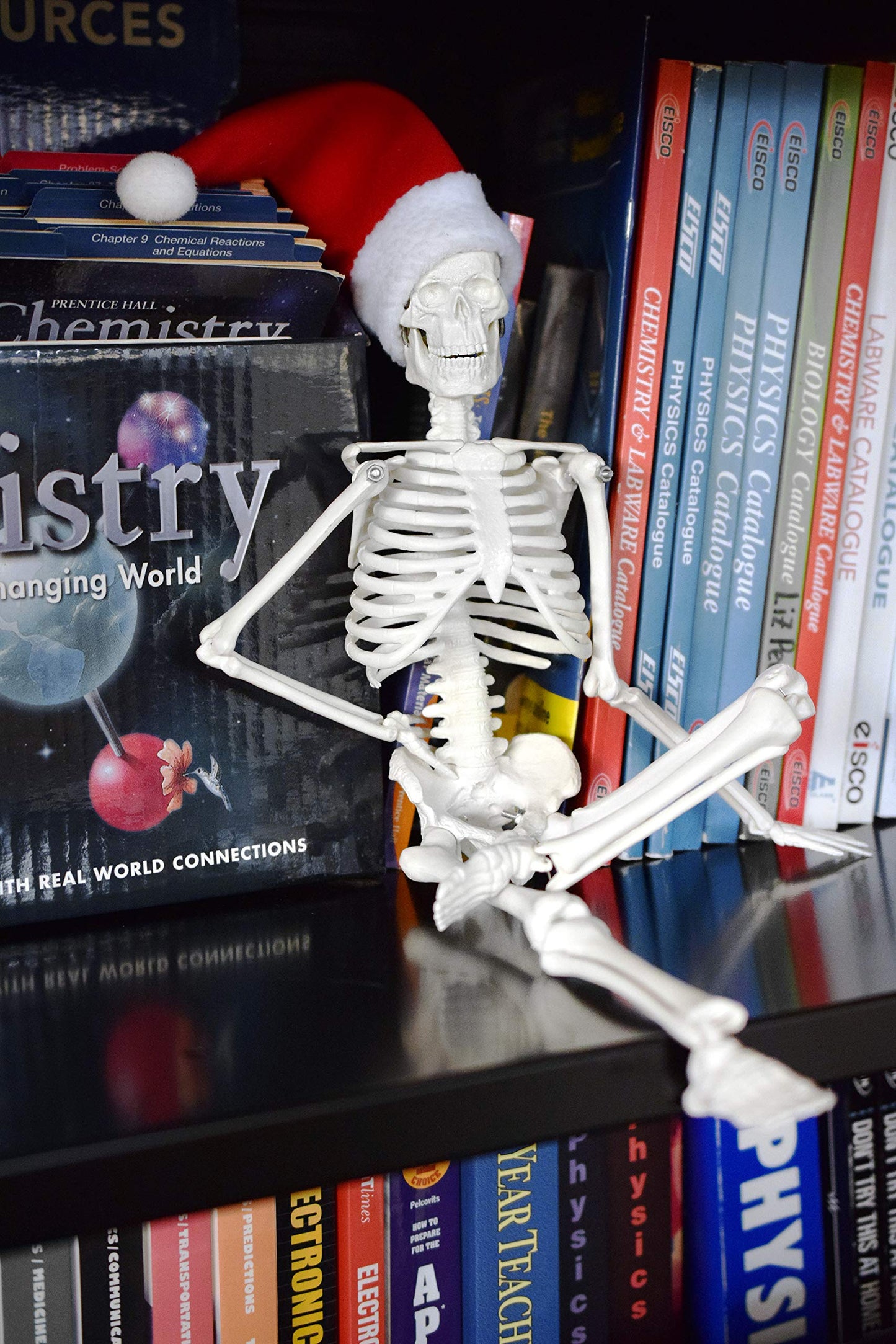 Hbarsci Dead Elf In The Lab - 17' Miniature Skeleton, Santa Hat & Christmas Coal For Scientist, Lab Tech, Lab Manager Teacher