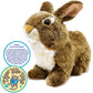 Tigerhart Brigid The Brown Rabbit - 10 Inch Stuffed Animal Plush Bunny