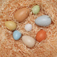 SIZESORTING EGGS