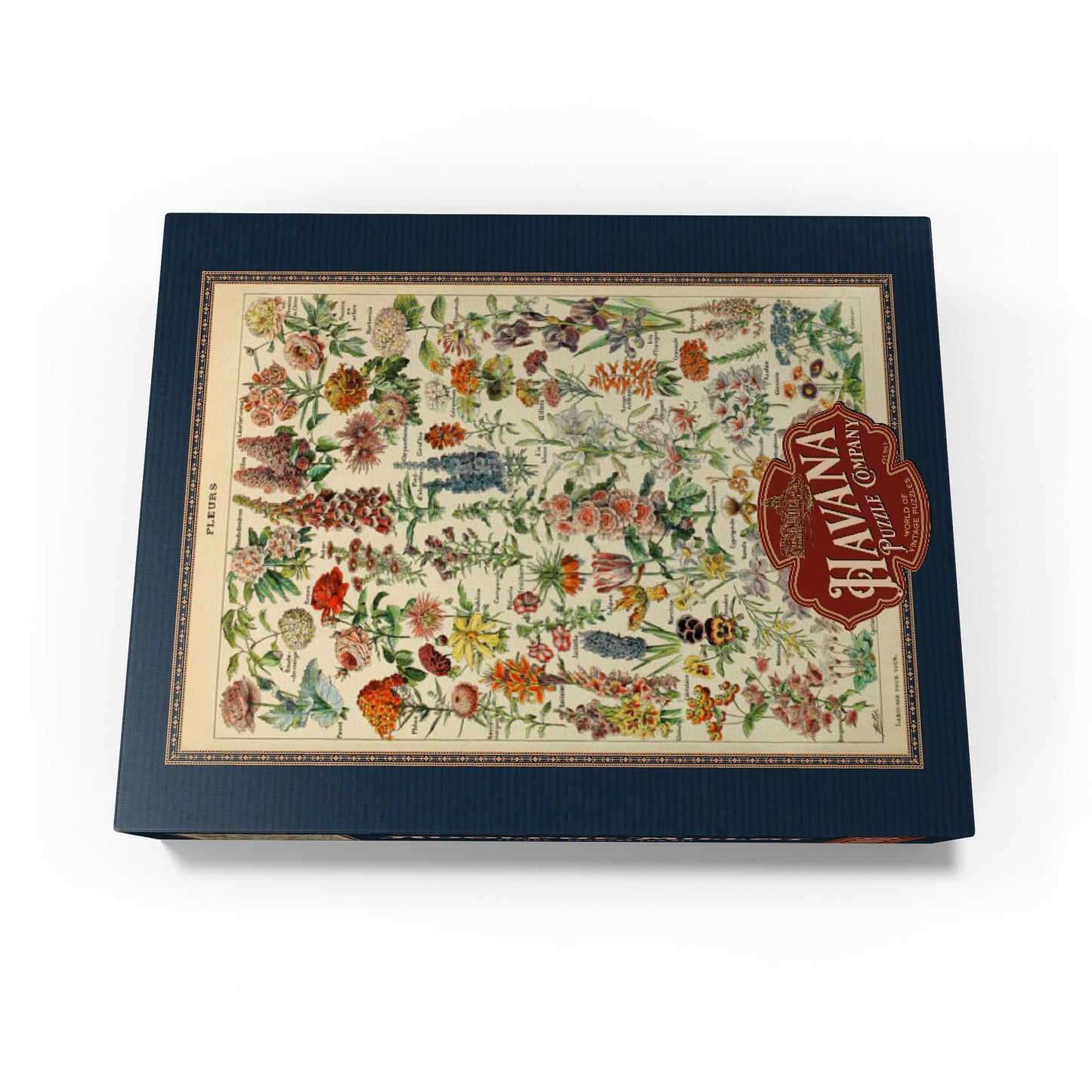 Mypuzzle Fleurs - Flowers For All, Vintage Art Poster, Adolphe Millot - Premium 1000 Piece Jigsaw Puzzle For Adults
