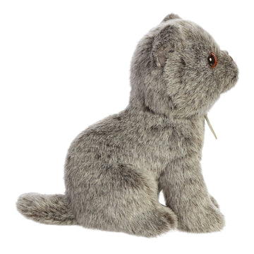 Aurora - Miyoni - 9' Scottish Fold