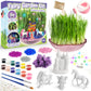 Bloonsy Unicorn Fairy Garden Kit For Kids | Light Up Fairy Unicorn Terrarium Kit | Science Stem Toys Presents | Unicorn Arts And