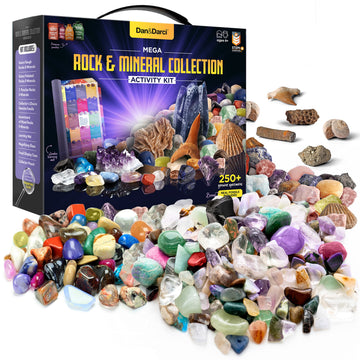Dan&Darci Rock Collection for Kids - Includes 250+ Bulk Rocks  Gemstones & Crystals + Genuine Fossils and Minerals - 2 Lbs. - Geology Earth Science STEM Toys Activity  Gifts for Boys & Girls Ages 6+