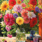 Cross & Glory - Rainbow Dahlia Delight - 1000 Piece Jigsaw Puzzle For Adults | Vibrant Flower Collection | Satin Finish | Challenging & Colorful Art