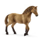 Sarahs Baby Animal Care With Quarter Horse