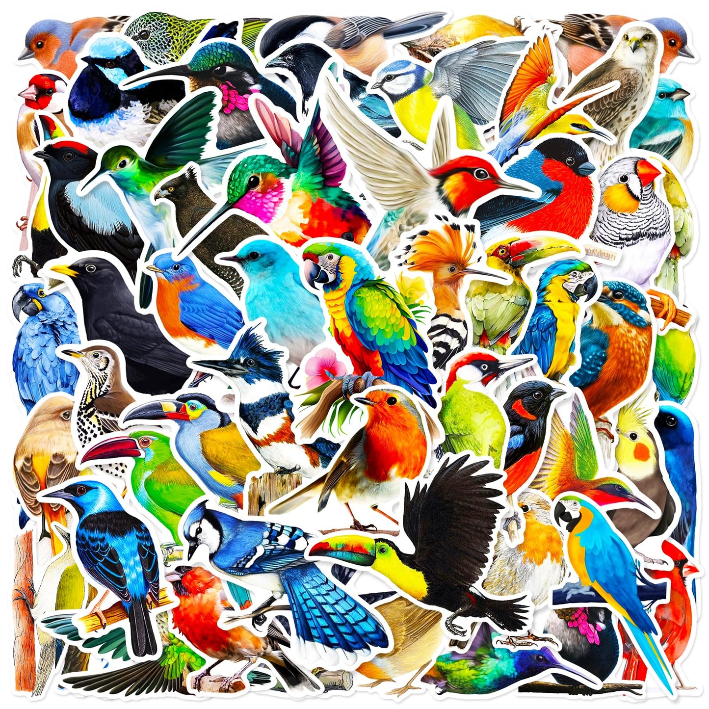 Dothrayan 100 Pcs Birds Stickers Cute Bird Animals Stickers, Vinyl Waterproof Birds Sticker For Kids Teen Water Bottles Laptop L