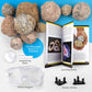 Geologist Treasure STEM Mine