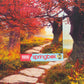Springbok'S Stone Path 1000 Piece Jigsaw Puzzle Is A Mezmorizing Image For Puzzlers Looking For A Tranquil Escape