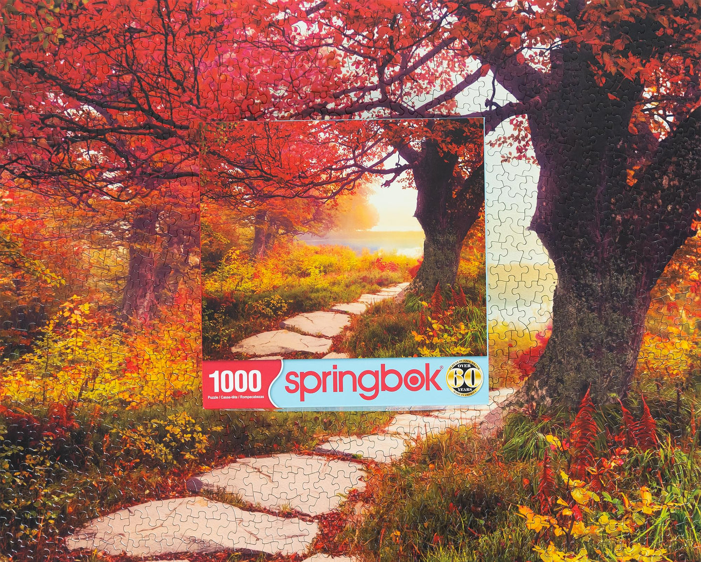 Springbok'S Stone Path 1000 Piece Jigsaw Puzzle Is A Mezmorizing Image For Puzzlers Looking For A Tranquil Escape