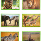 Us Toy Wild Animal Puzzles (Pack Of 12)