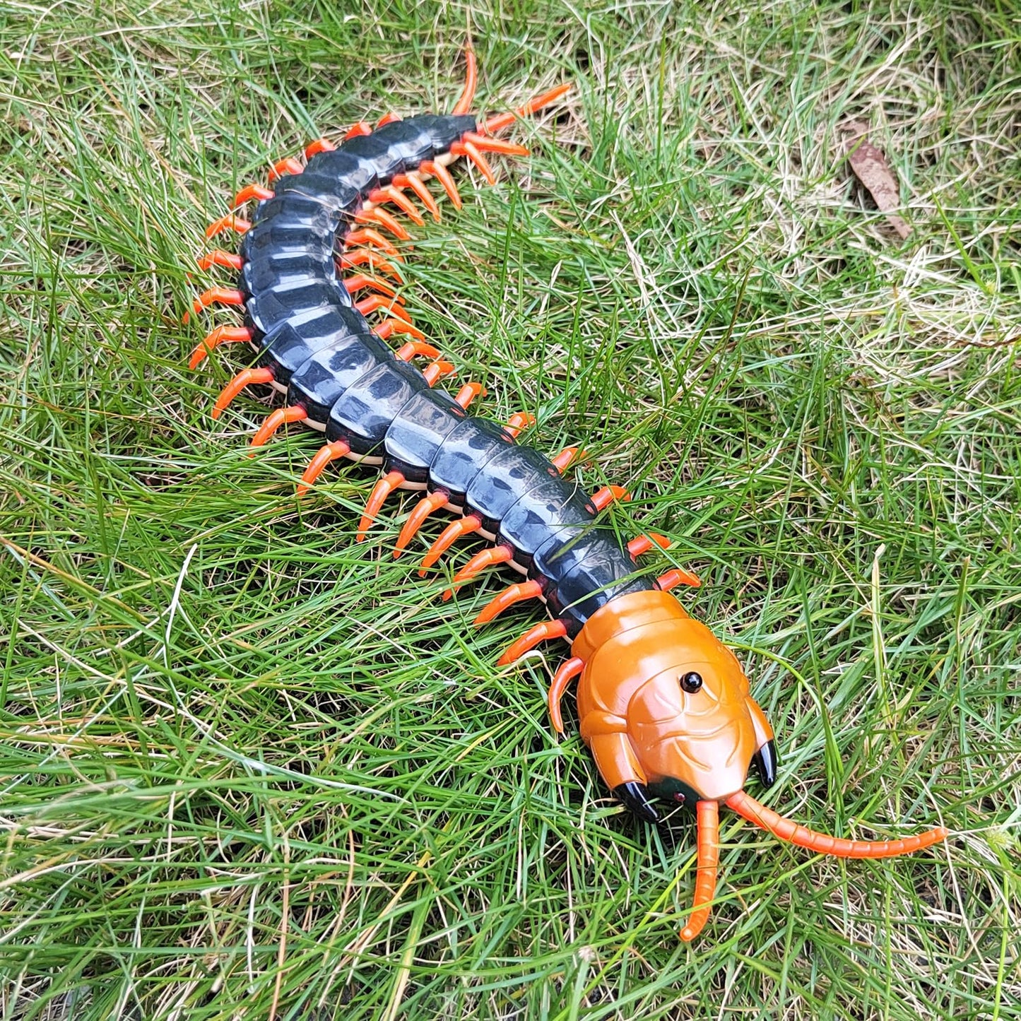 Tipmant Realistic Large Size Rc Centipede Scolopendra Animal Toy Infrared Remote Control Vehicle Car Scary Prank Kids Birthday Gifts (Dark Green)