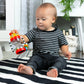 Baby Einstein Cal’S Sensory Shake-Up Developmental Activity Rattle Toy, Bpa Free, For Infants Ages 3 Months And Up