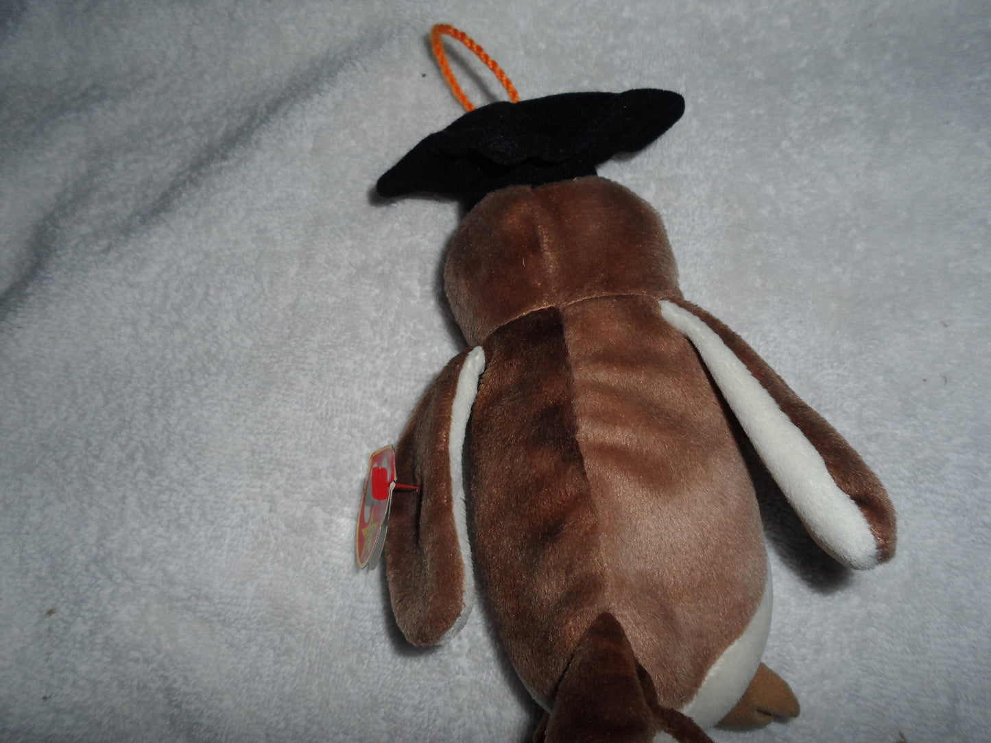 Ty Beanie Babies - Wise The 1998 Graduation Owl