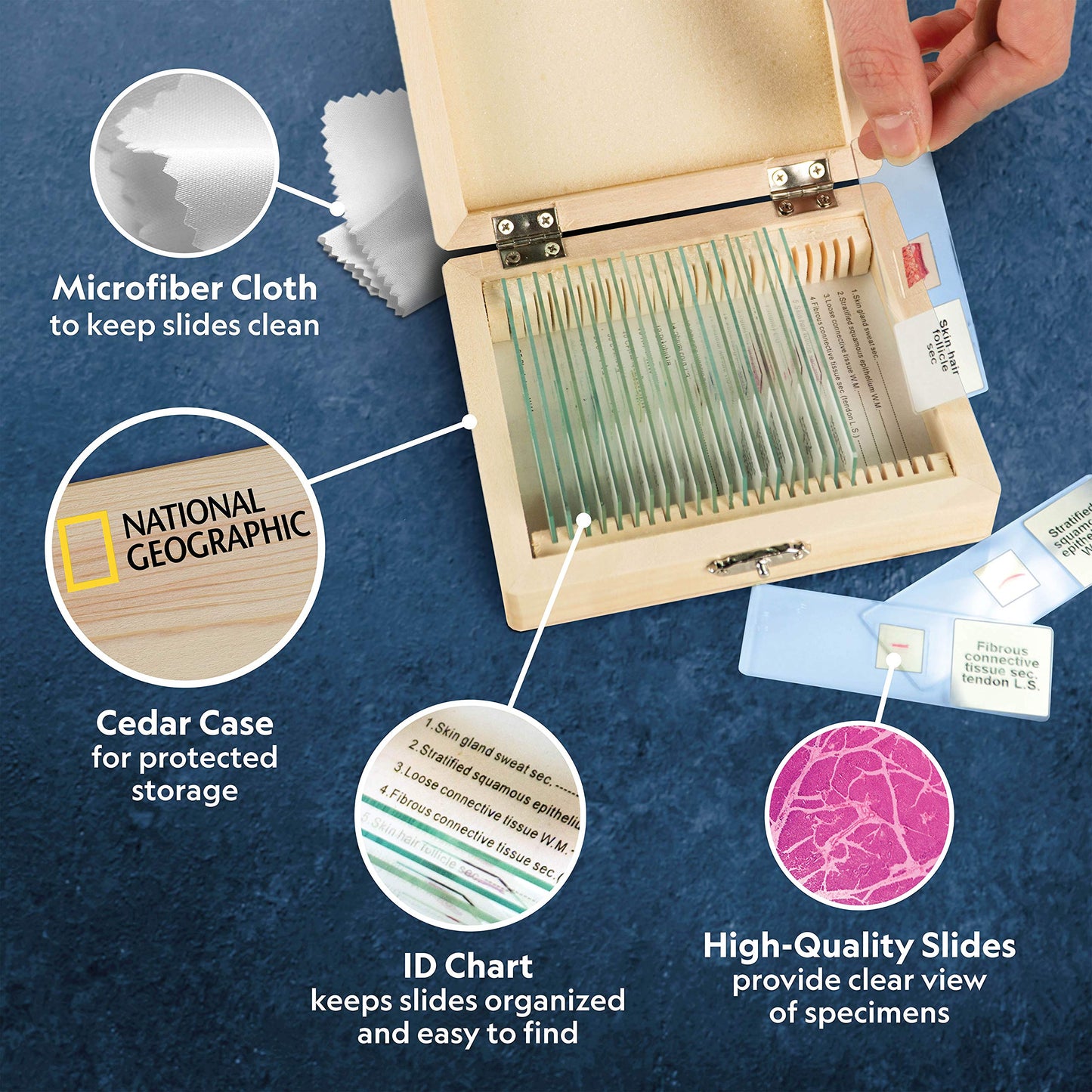 National Geographic Mega Biology Set - Professional Grade Specimens, 25 Prepared Microscope Slides, Detailed Learning Guide And