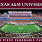 Texas A&M Panoramic 1000 Pc Center View