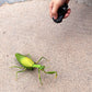 Tipmant Rc Praying Mantis Toy Ir Remote Control Animal Fake Car Vehicle Electric For Kids Birthday